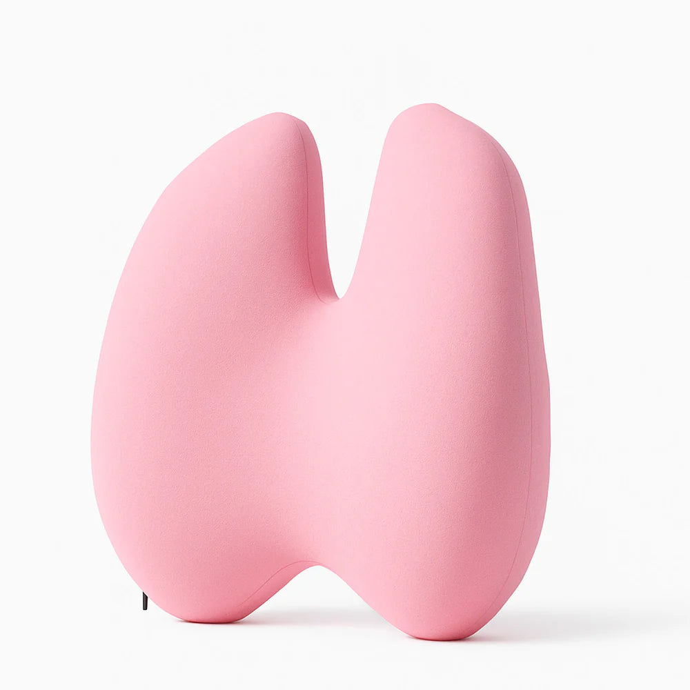 Ortopedisk ländryggskudde