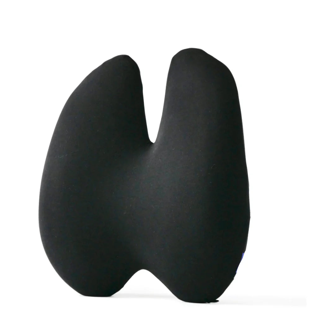 Ortopedisk ländryggskudde