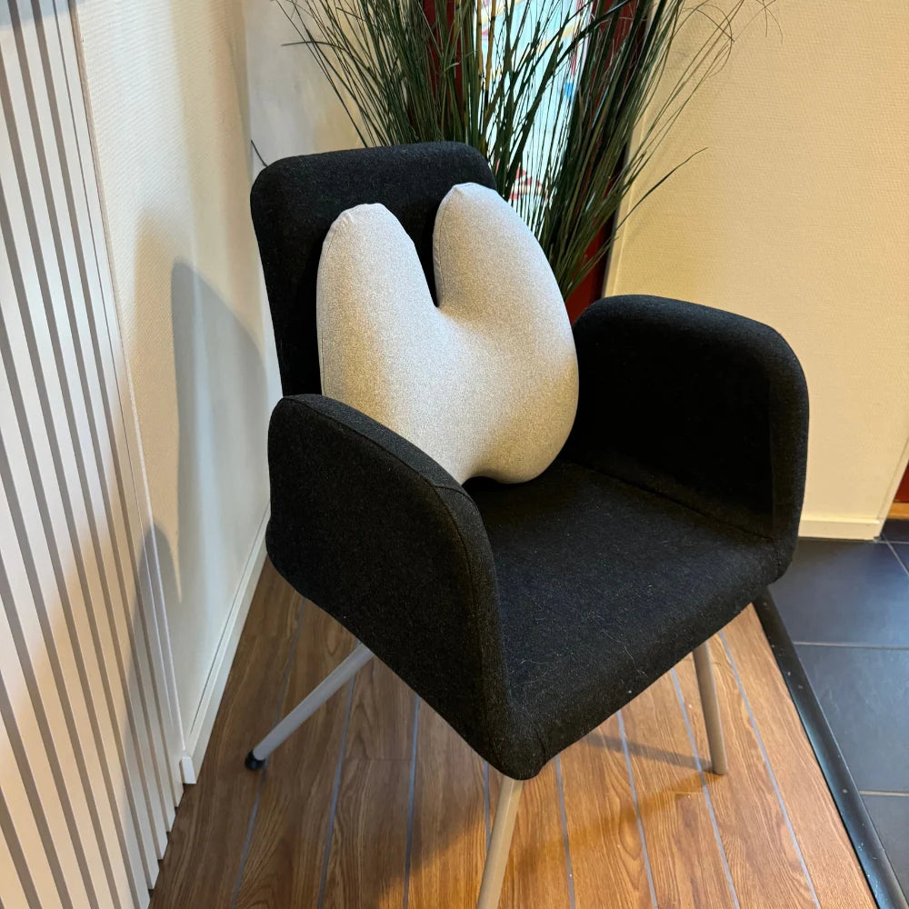 Ortopedisk ländryggskudde